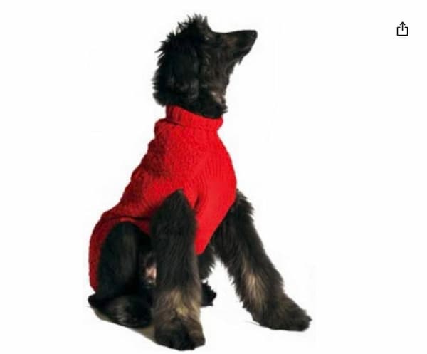 dog sweater for cold weather